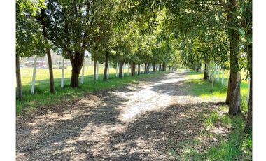 Exclusivo ¡¡¡ Campo Agricola 13,7 Hà Orilla Carretera Sector