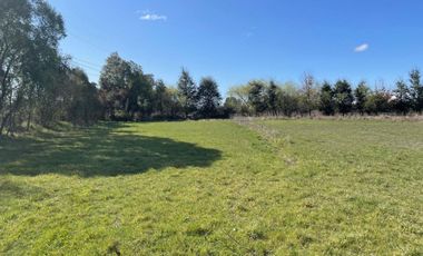 Exclusivo ¡¡¡ Campo Agricola 13,7 Hà Orilla Carretera Sector