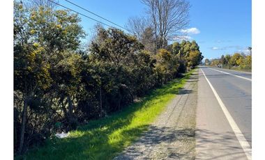 Exclusivo ¡¡¡ Campo Agricola 13,7 Hà Orilla Carretera Sector