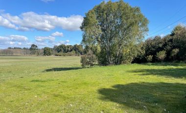 Exclusivo ¡¡¡ Campo Agricola 13,7 Hà Orilla Carretera Sector