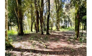 Parcelas A 5 Minutos Lago Rupanco Orilla De Río Rahue Prc