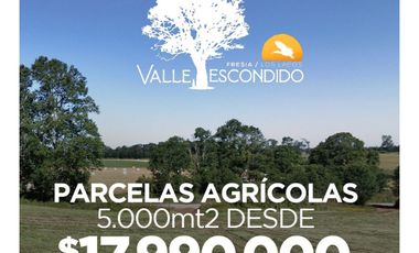 Parcelas Con Rol Individual! - Austral Partners