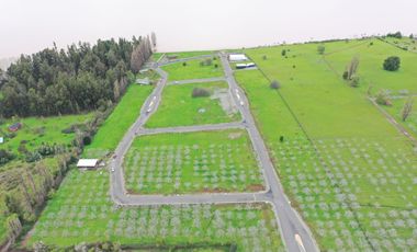 Terreno En Venta, Nogales De Colbún, Sector La Guardia