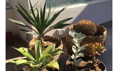Puerto Velero: Departamento Triplex  Para 7 Personas - Looff