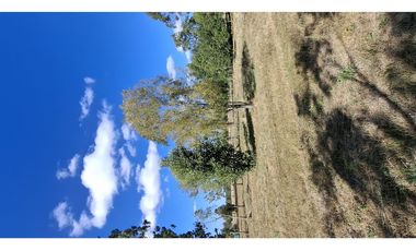 Oportunidad!! Dos Parcelas Juntas  En Sector Millahuin Bajo,