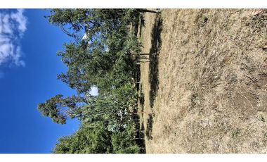Oportunidad!! Dos Parcelas Juntas  En Sector Millahuin Bajo,