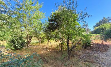 Terreno A Orilla De Carretera Ruta Concepción - Santa Juana