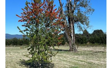 Parcela Con Vista Exclusiva Al Volcán Villarrica Country Puc