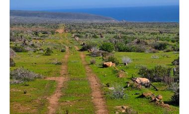 Compra Tu Parcela En Ovalle Rol Propio Vista Al Mar Prc