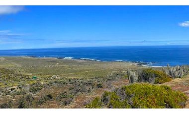 Compra Tu Parcela En Ovalle Rol Propio Vista Al Mar Prc