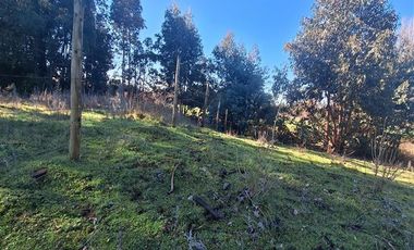 Parcela en Venta en Ruta Q-30, los Troncos Los Ángeles