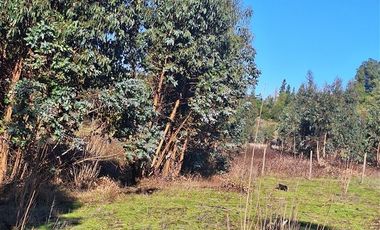Parcela en Venta en Ruta Q-30, los Troncos Los Ángeles