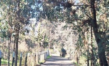 Parcela en Venta en Ruta Q-30, los Troncos Los Ángeles