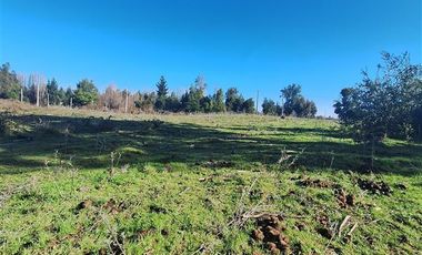 Parcela en Venta en Ruta Q-30, los Troncos Los Ángeles