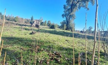 Parcela en Venta en Ruta Q-30, los Troncos Los Ángeles