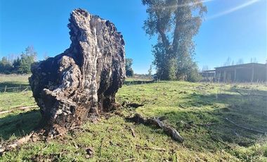 Parcela en Venta en Ruta Q-30, los Troncos Los Ángeles