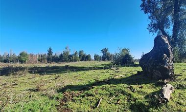 Parcela en Venta en Ruta Q-30, los Troncos Los Ángeles