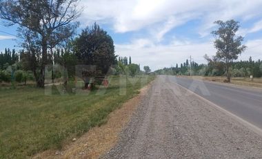 Excelente oportunidad!! Chacra en Alquiler