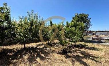 TERRENO EN ARRIENDO