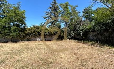 TERRENO EN ARRIENDO