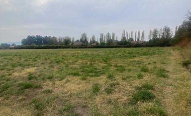 Parcela en arriendo en CALERA DE TANGO