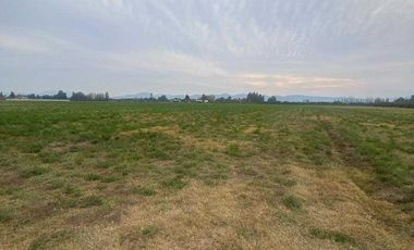 Parcela en arriendo en CALERA DE TANGO