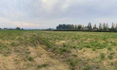 Parcela en arriendo en CALERA DE TANGO