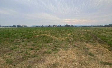 Parcela en arriendo en CALERA DE TANGO