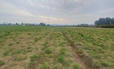 Parcela en arriendo en CALERA DE TANGO