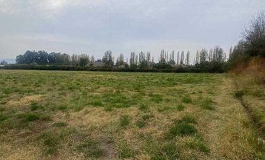 Parcela en arriendo en CALERA DE TANGO