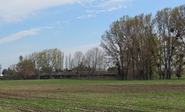 Casa en venta en LINARES