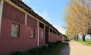 Casa en venta en LINARES