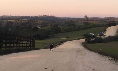 Parcela en venta en NAVIDAD