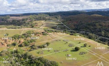 Parcela en venta en NAVIDAD