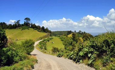 Parcela en venta  en PUQUELDÓN