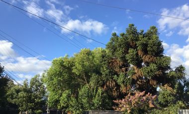 VENTA EN LOTEO PROSPERIDAD SECTOR NORTE DE TALCA