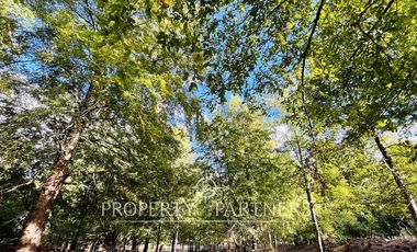 Campo del Valle – Miradores de Panqui