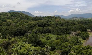 SE VENDE TERRENO AD CORPUS AMACUZAC, ESTADO DE MORELOS