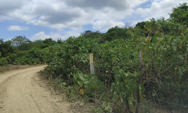 Terreno en venta en Mamey bajada Chanduy, Santa Elena, ChrC