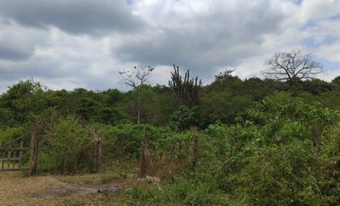 Terreno en venta en Mamey bajada Chanduy, Santa Elena, ChrC