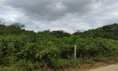 Terreno en venta en Mamey bajada Chanduy, Santa Elena, ChrC