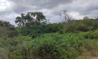 Terreno en venta en Mamey bajada Chanduy, Santa Elena, ChrC