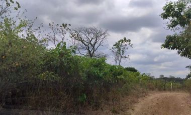 Terreno en venta en Mamey bajada Chanduy, Santa Elena, ChrC