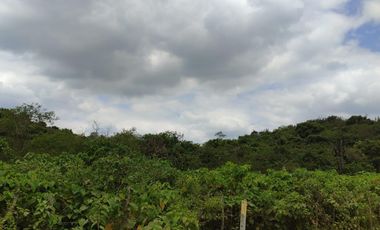 Terreno en venta en Mamey bajada Chanduy, Santa Elena, ChrC