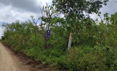 Terreno en venta en Mamey bajada Chanduy, Santa Elena, ChrC