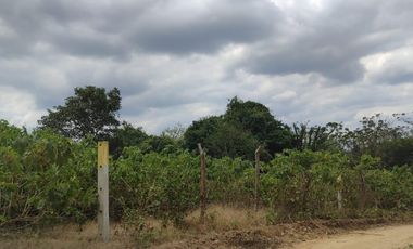 Terreno en venta en Mamey bajada Chanduy, Santa Elena, ChrC