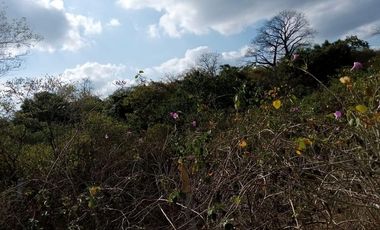 Terreno en venta en Mamey bajada Chanduy, Santa Elena, ChrC