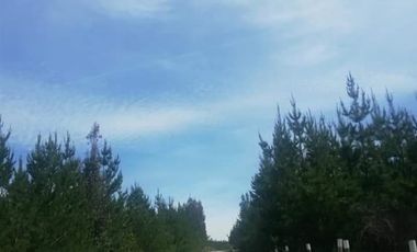 Parcela en Venta en san javier