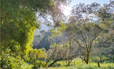 Venta de casa campestre en vereda La Escondida, Caldas