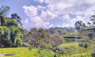 Venta de casa campestre en vereda La Escondida, Caldas